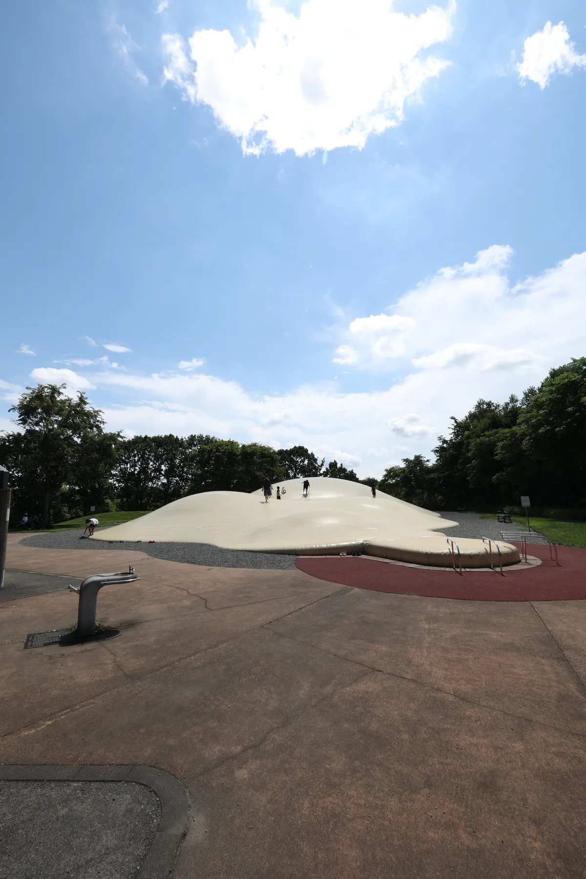 エコロジーパークの写真