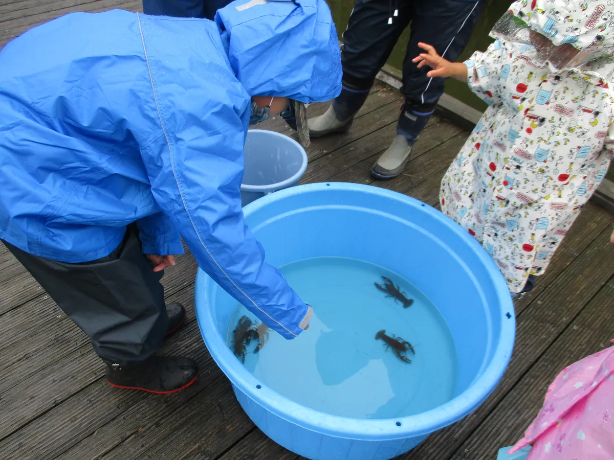 エコロジーパークの写真