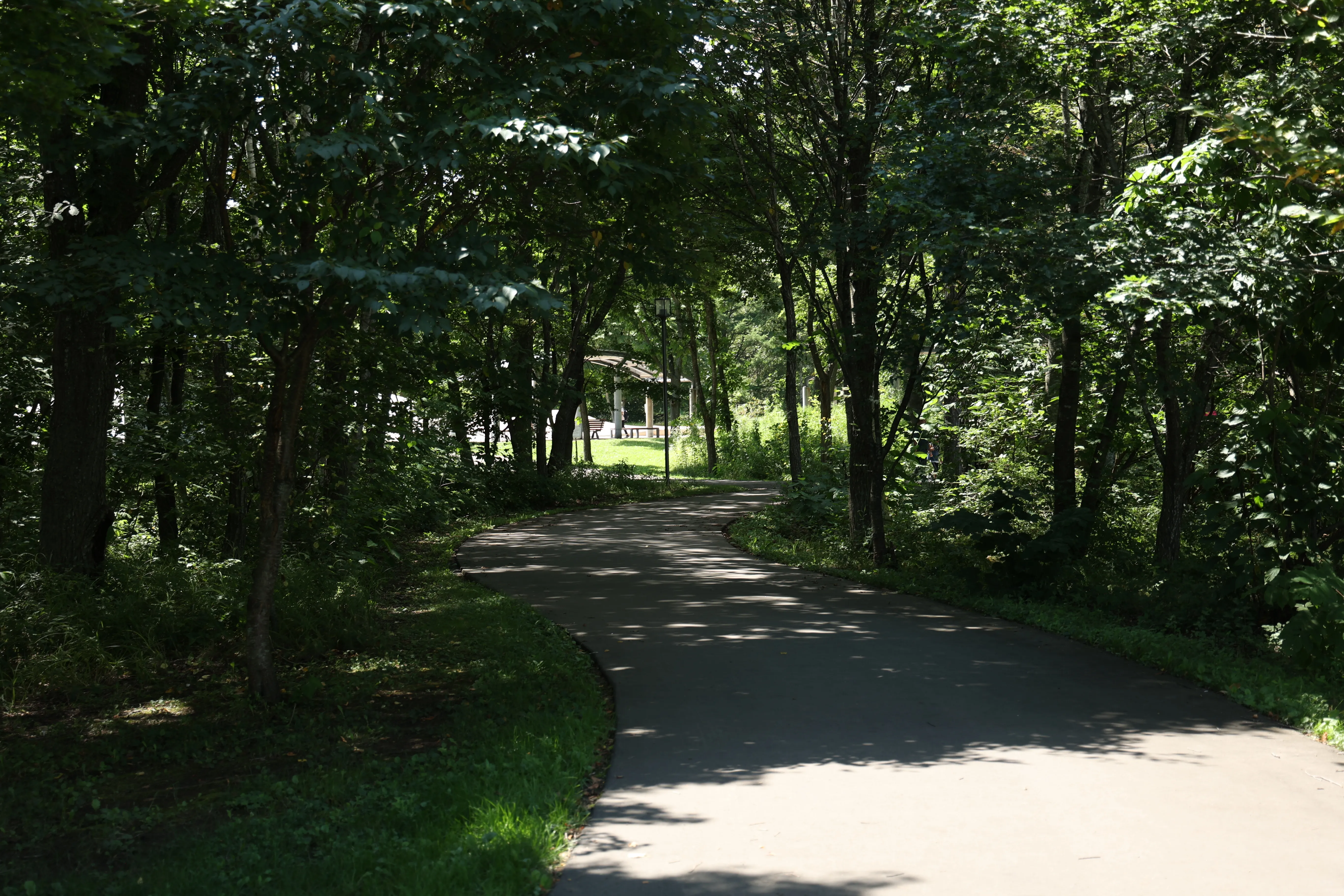 エコロジーパークの写真