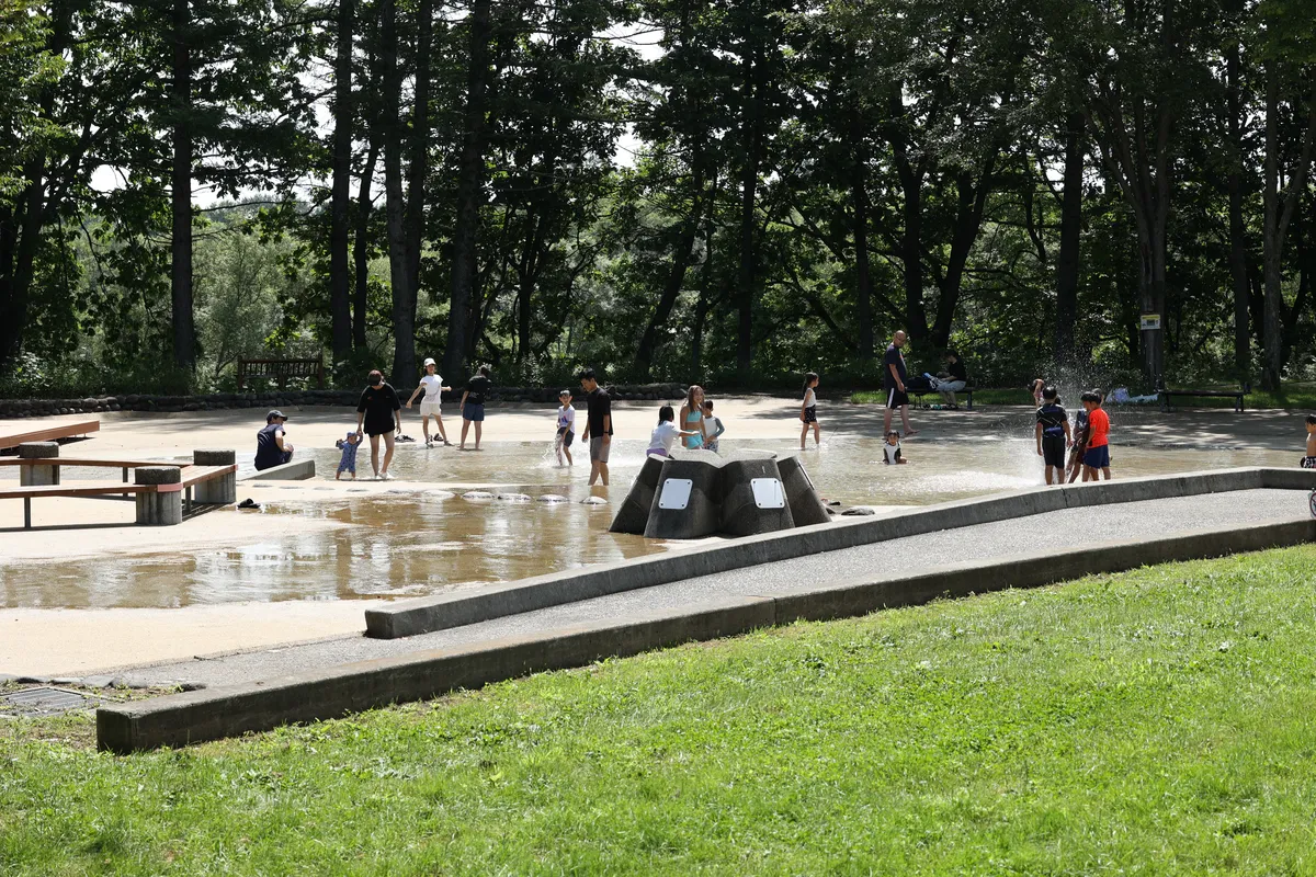 エコロジーパークの写真