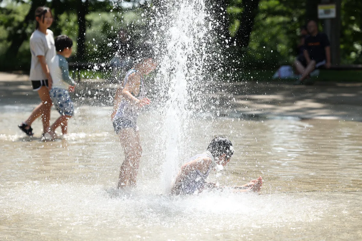 エコロジーパークの写真