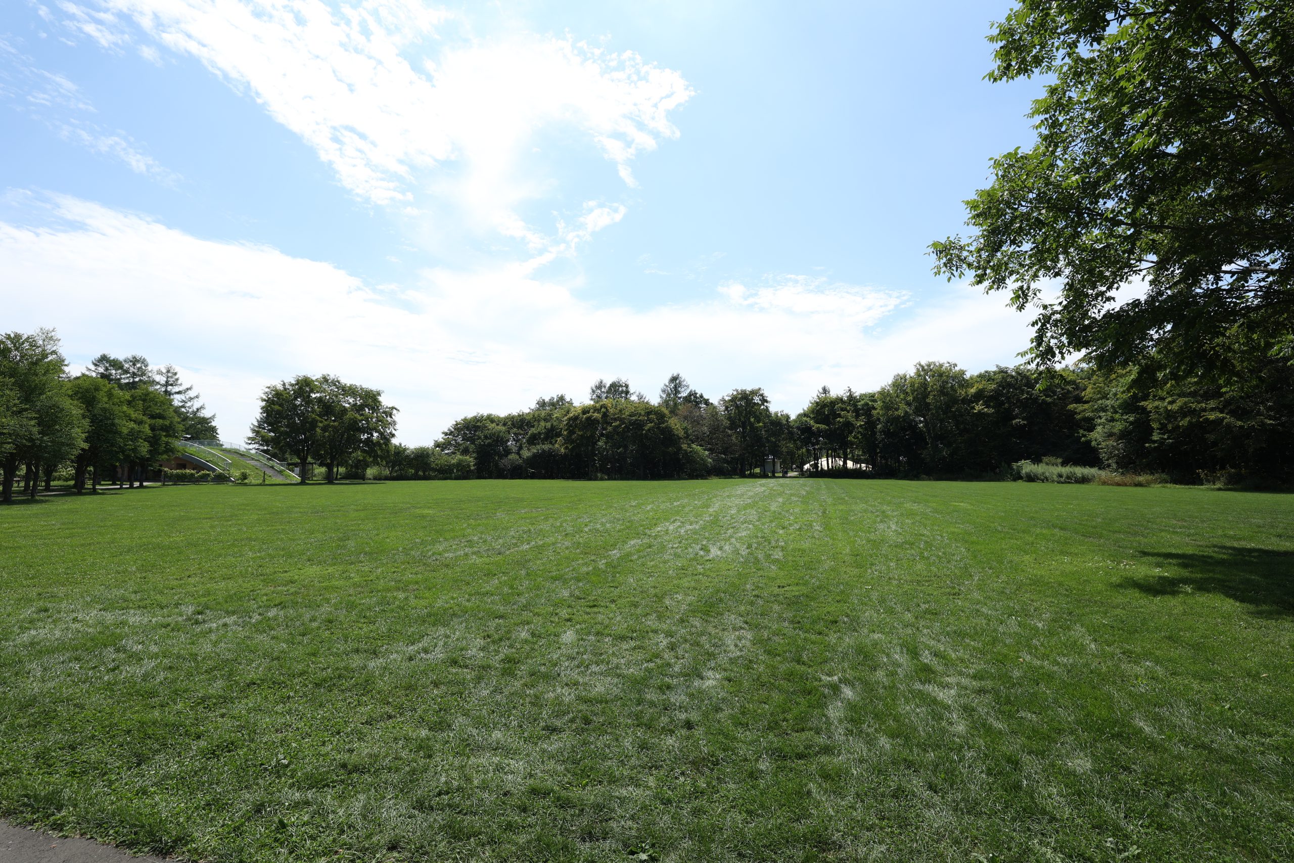 エコロジーパークの写真