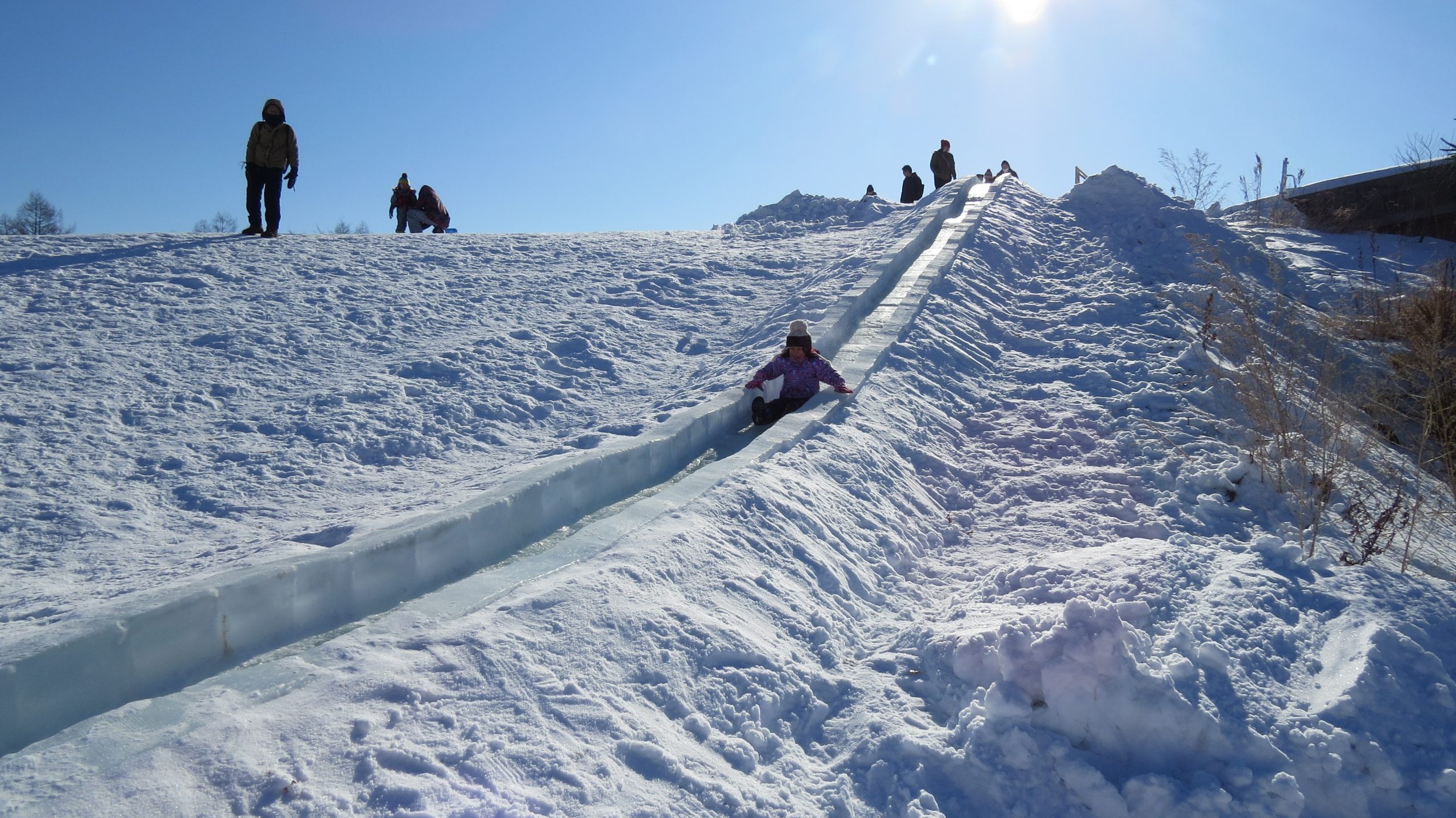 エコロジーパークの写真