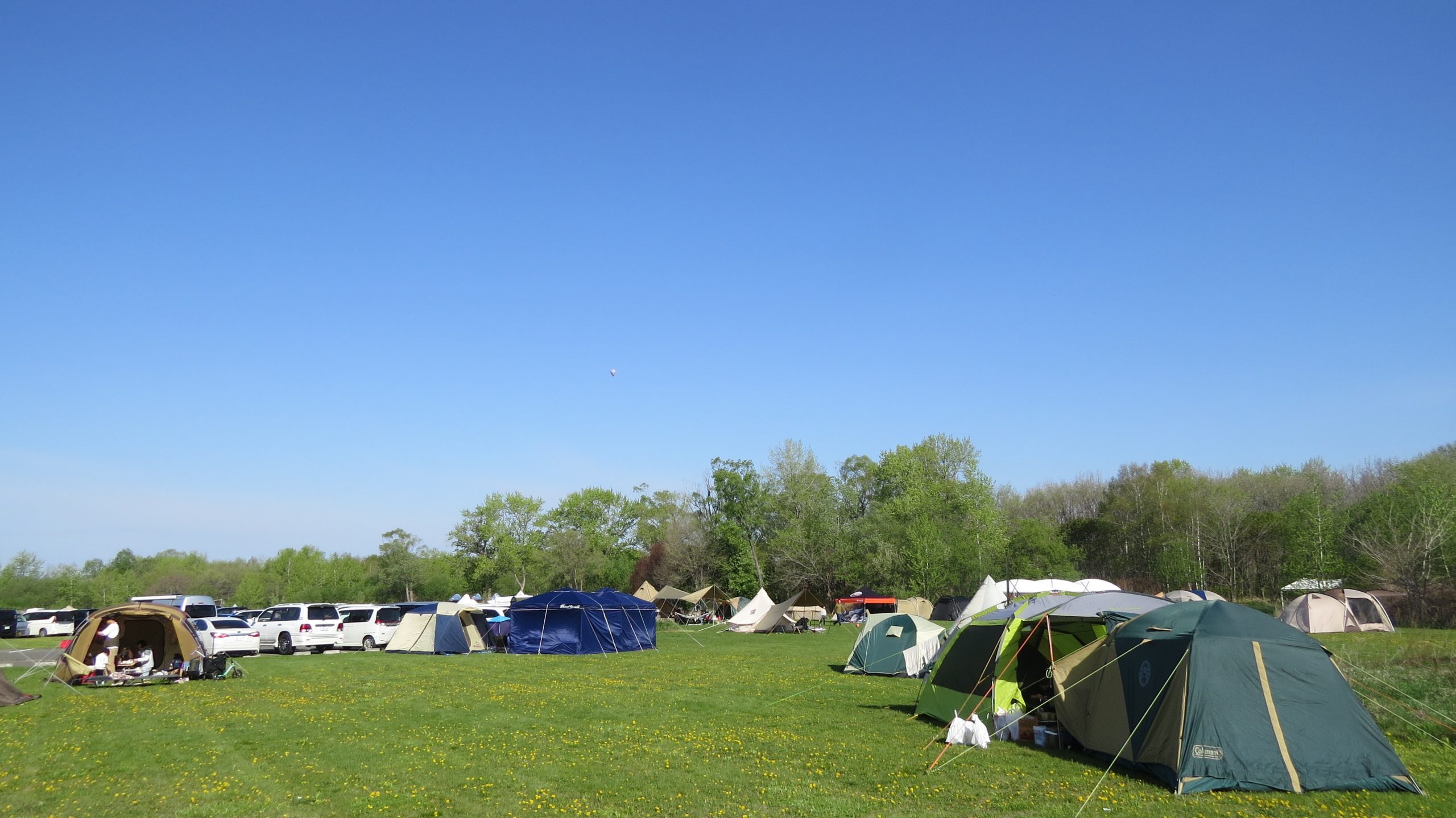 エコロジーパークの写真