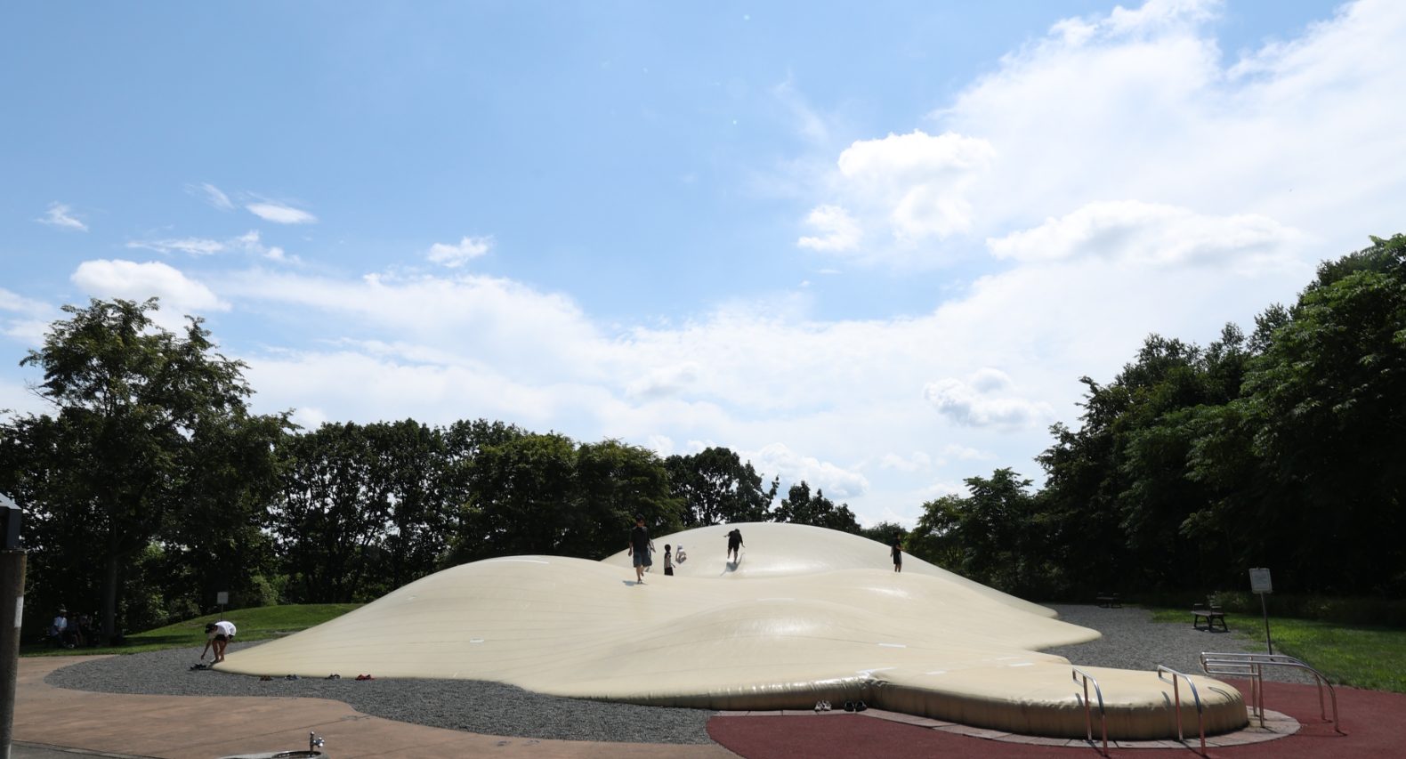 エコロジーパークの写真